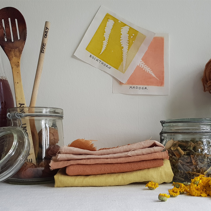 Natural dyeing equipment and natural dyed swatches