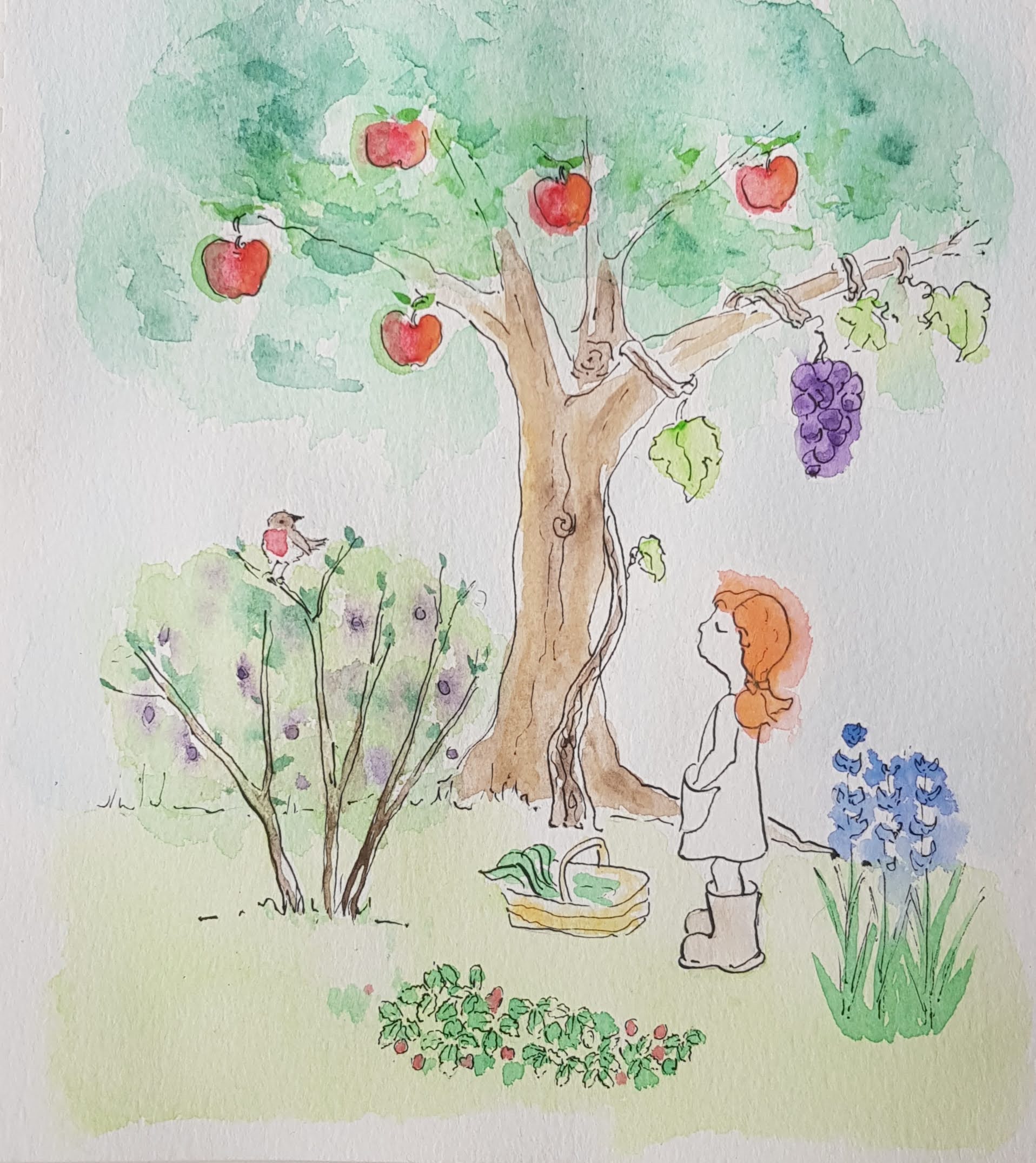 Forest Gardening illustration